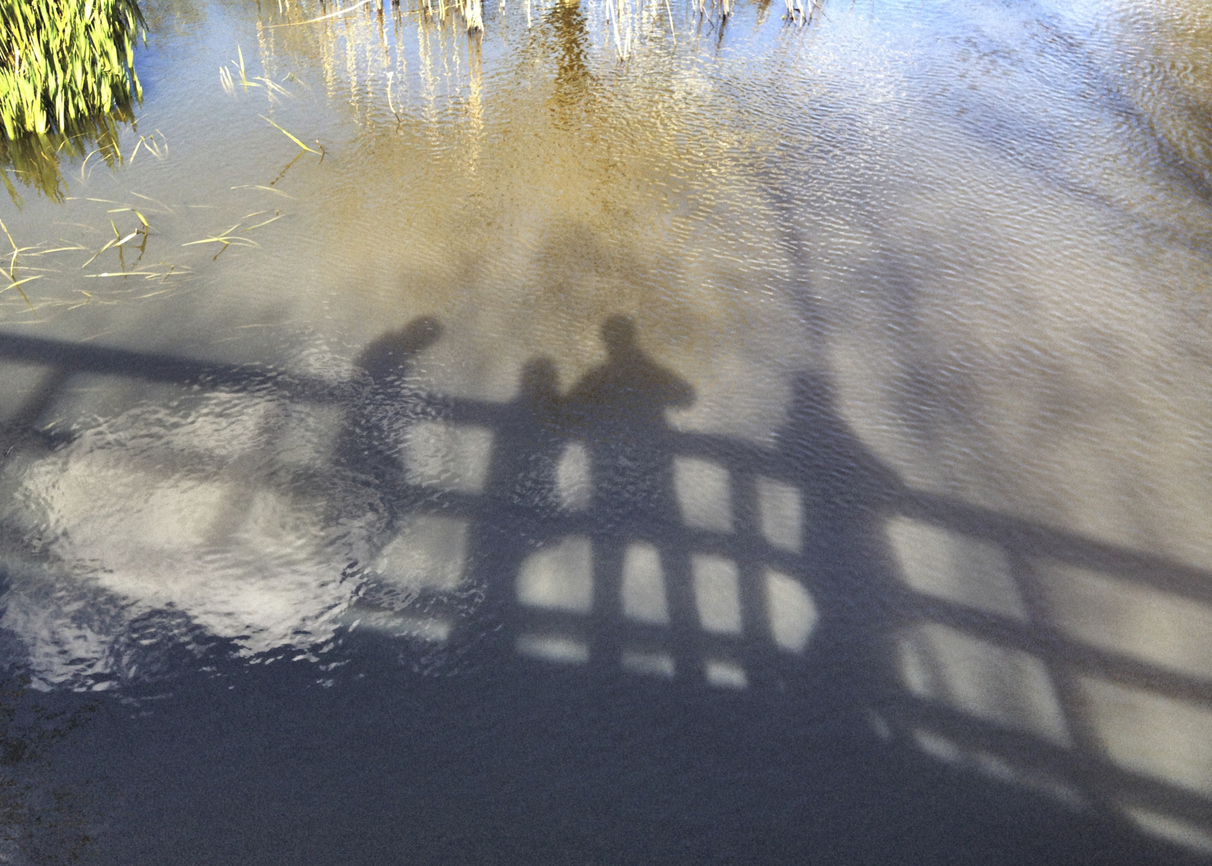 shadows of family looking into stream