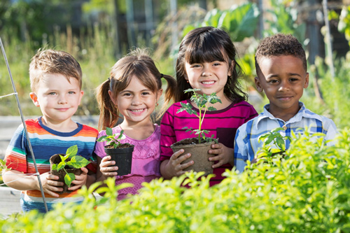 Children in a garden holding plants