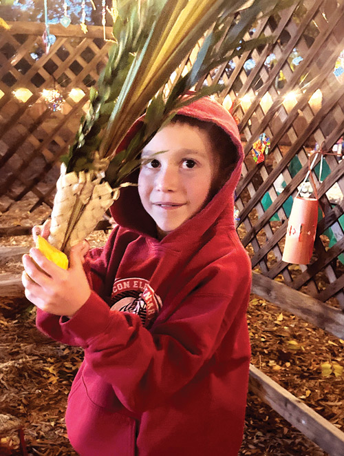 Boy holding lulav and etrog
