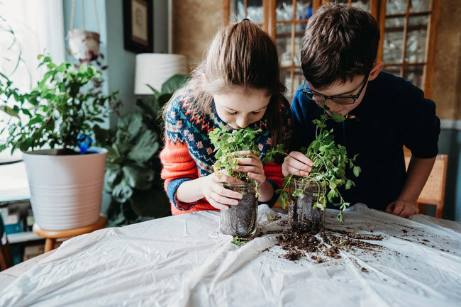 Two kids smelling the parsley they just planted in some jars.