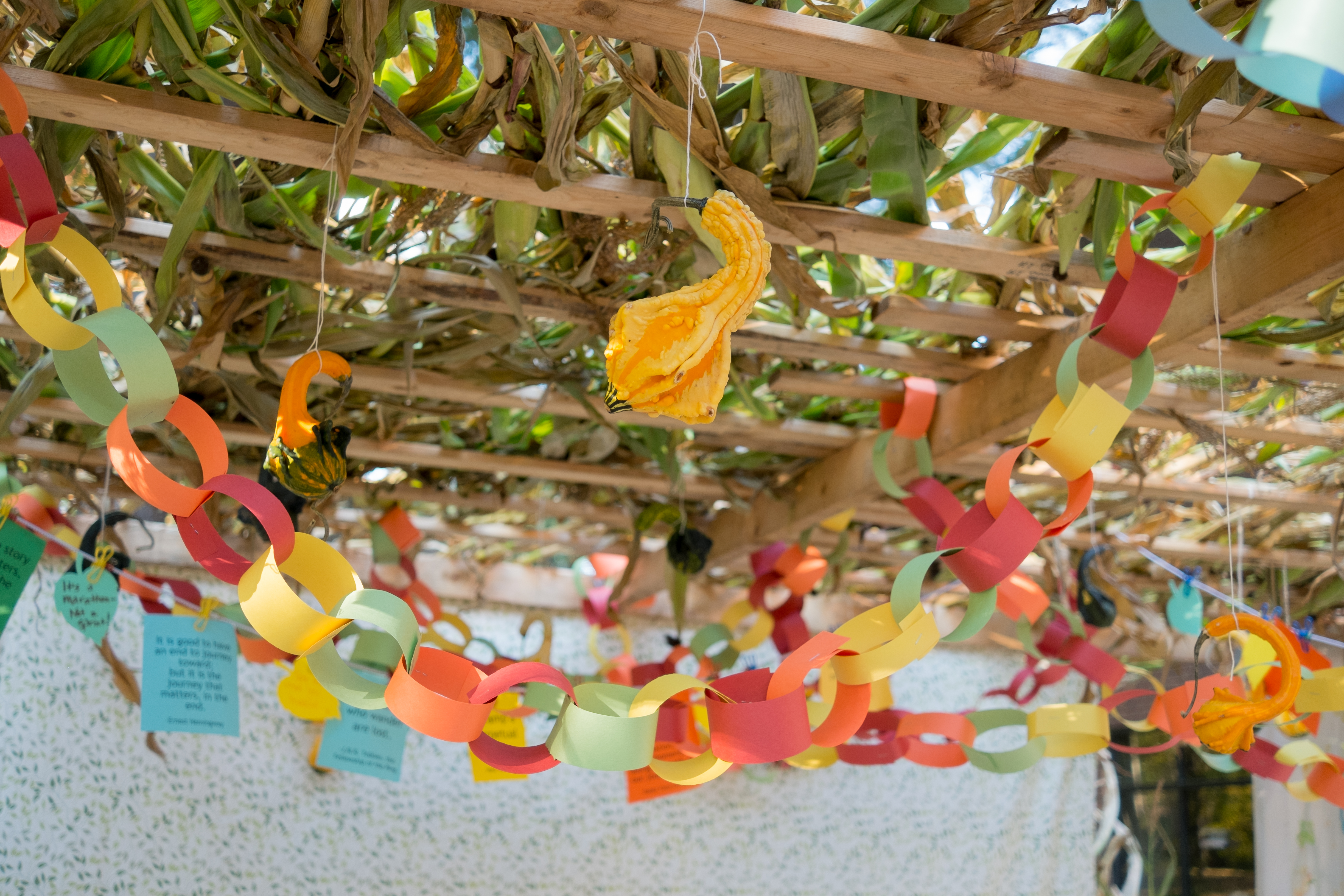 Everything You Need To Teach Your Kids About Sukkot | PJ Library