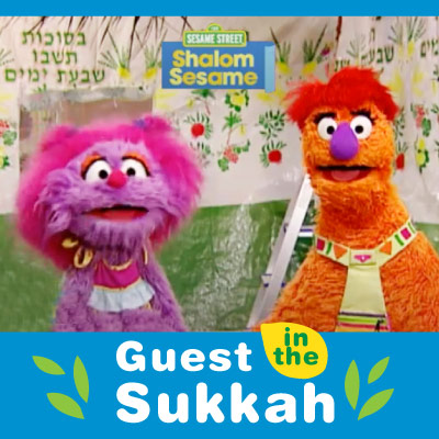 Guest in the Sukkah