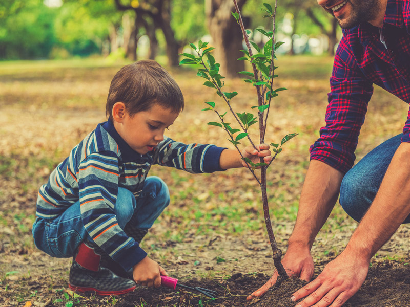 A child helps an adult plant a tree sapling