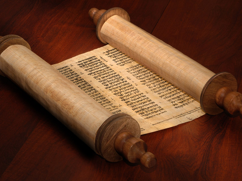 A partially unrolled Torah scroll.