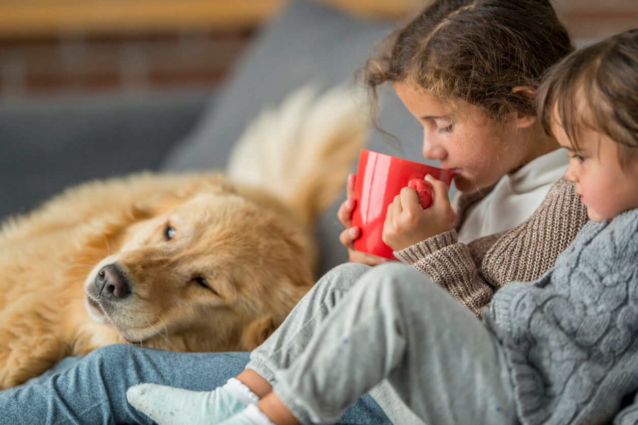 kids drinking hot chocolate with golden retreiver on the couch