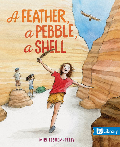 A Feather, a Pebble, a Shell book cover