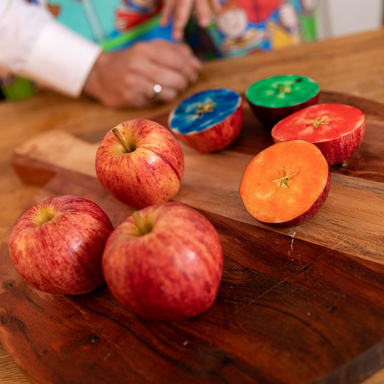 Apples cut in half and inked with colorful dyes for making prints.
