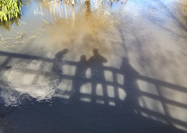 A shadow of 4 people on a bridge cast on the water