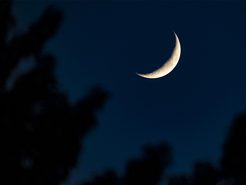 A sliver moon in a night sky