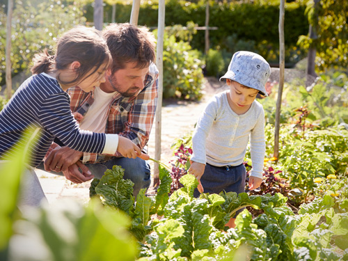 /gettogether/volunteering-giving