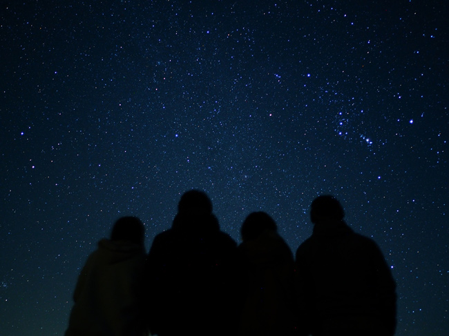 A group of people stargazing